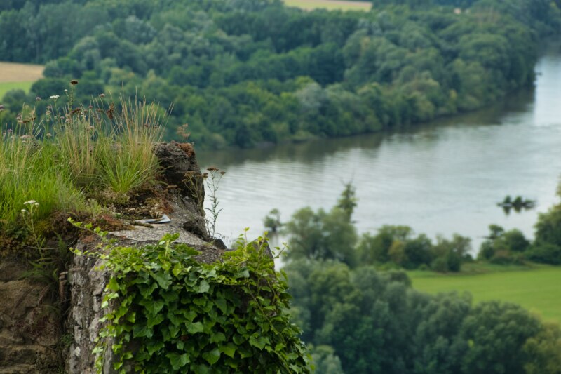 Burgruine Donaustauf