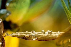meditative fotografie